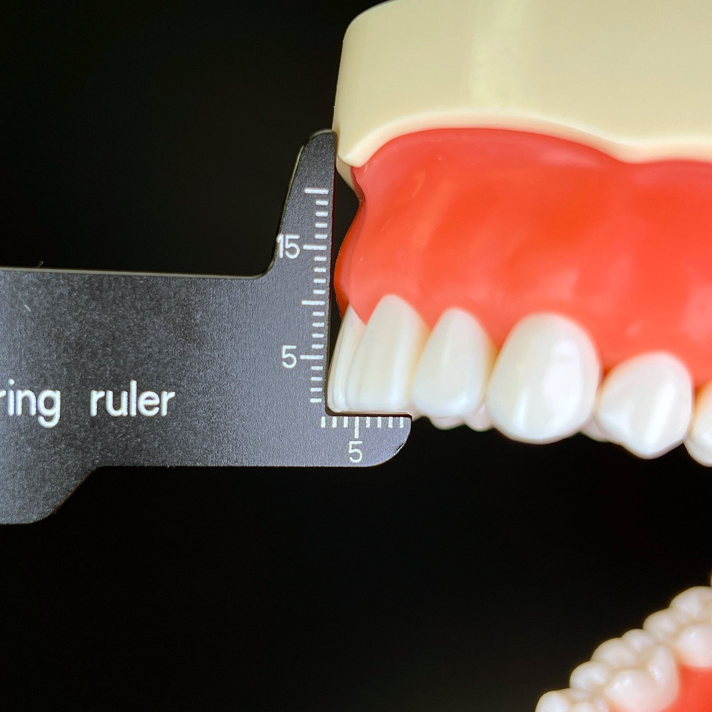 Dental Precision Measuring Ruler