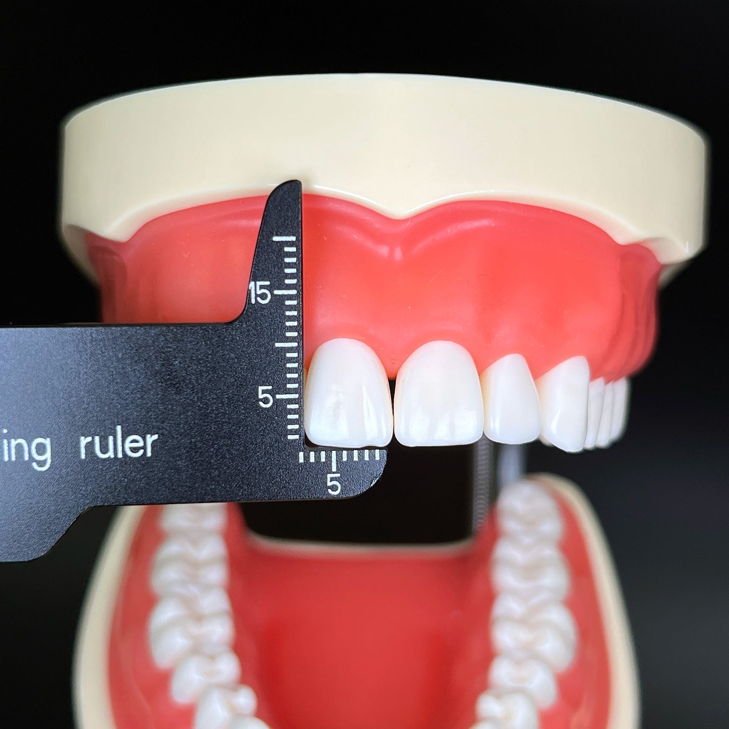 Dental Precision Measuring Ruler