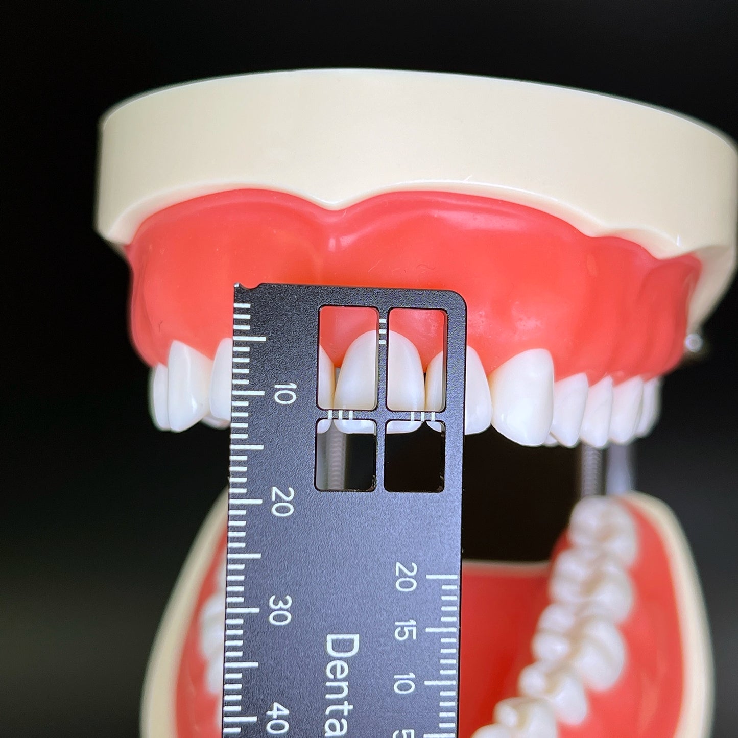 Dental Precision Measuring Ruler