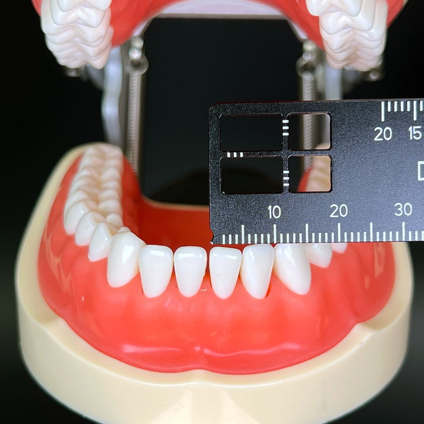 Dental Precision Measuring Ruler