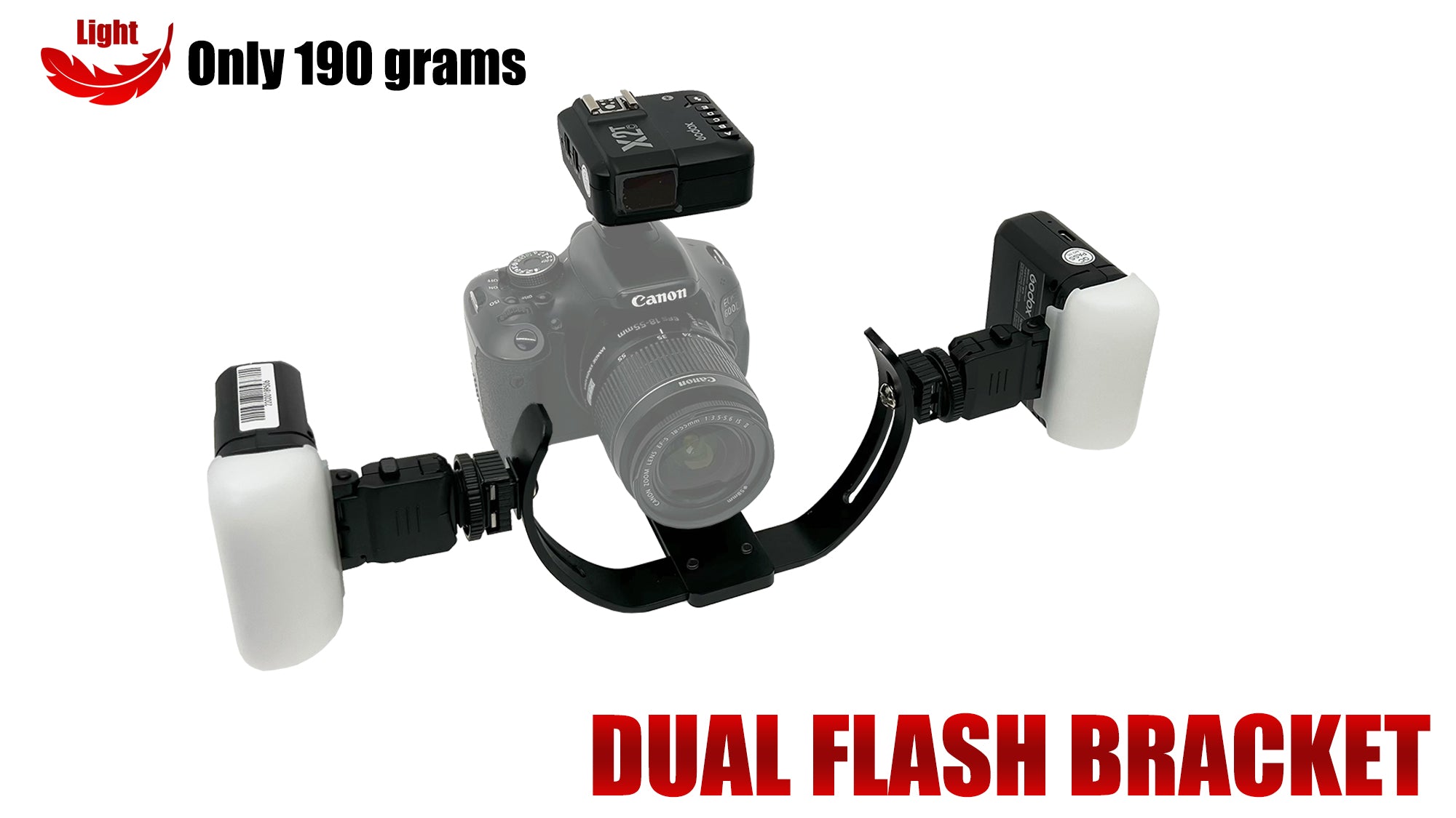 動画を読み込む: 